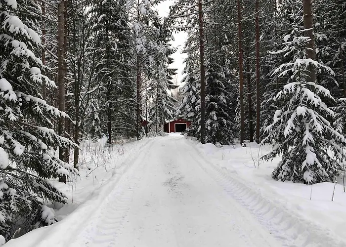 Purola By The Kivijarvi